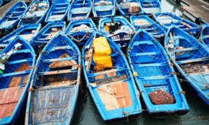Blaue Boote, Hafen, Essaouira, Marokko